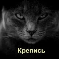 Ученый кот